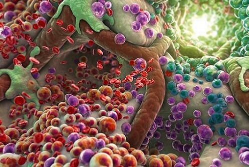 toxinas no corpo na presença de parasitas